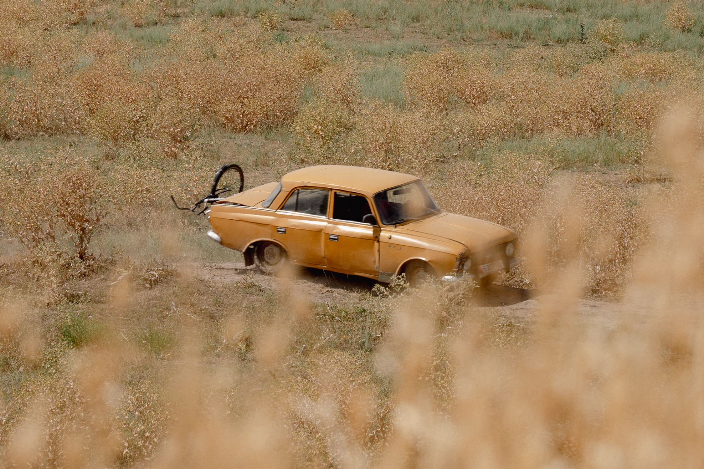 Landschaft am Südufer des Issyk-Kul
