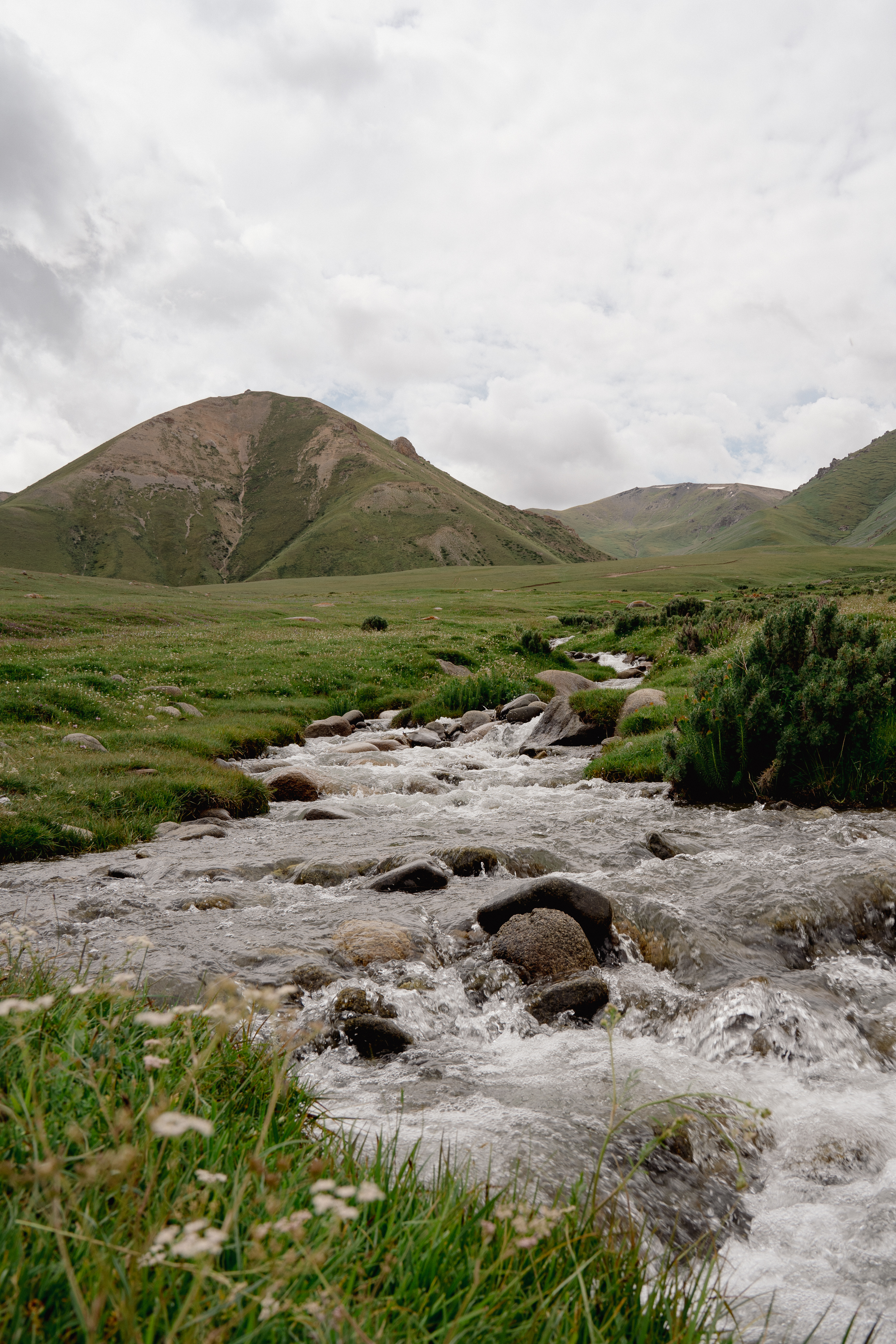 Mountain stream in a green high valley